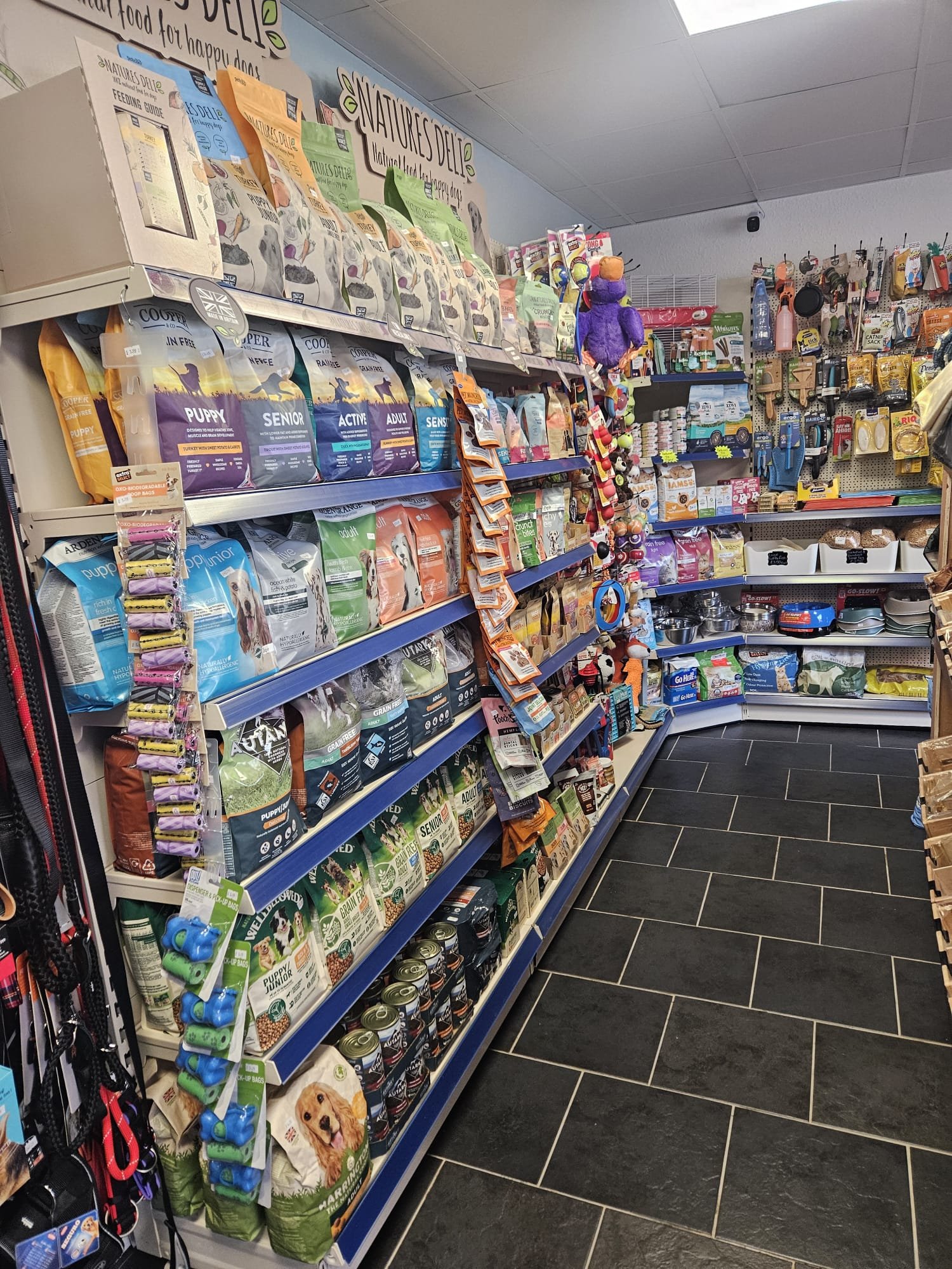 WhatsApp Image 2026-02-02 at 1.27.44 PM (2)