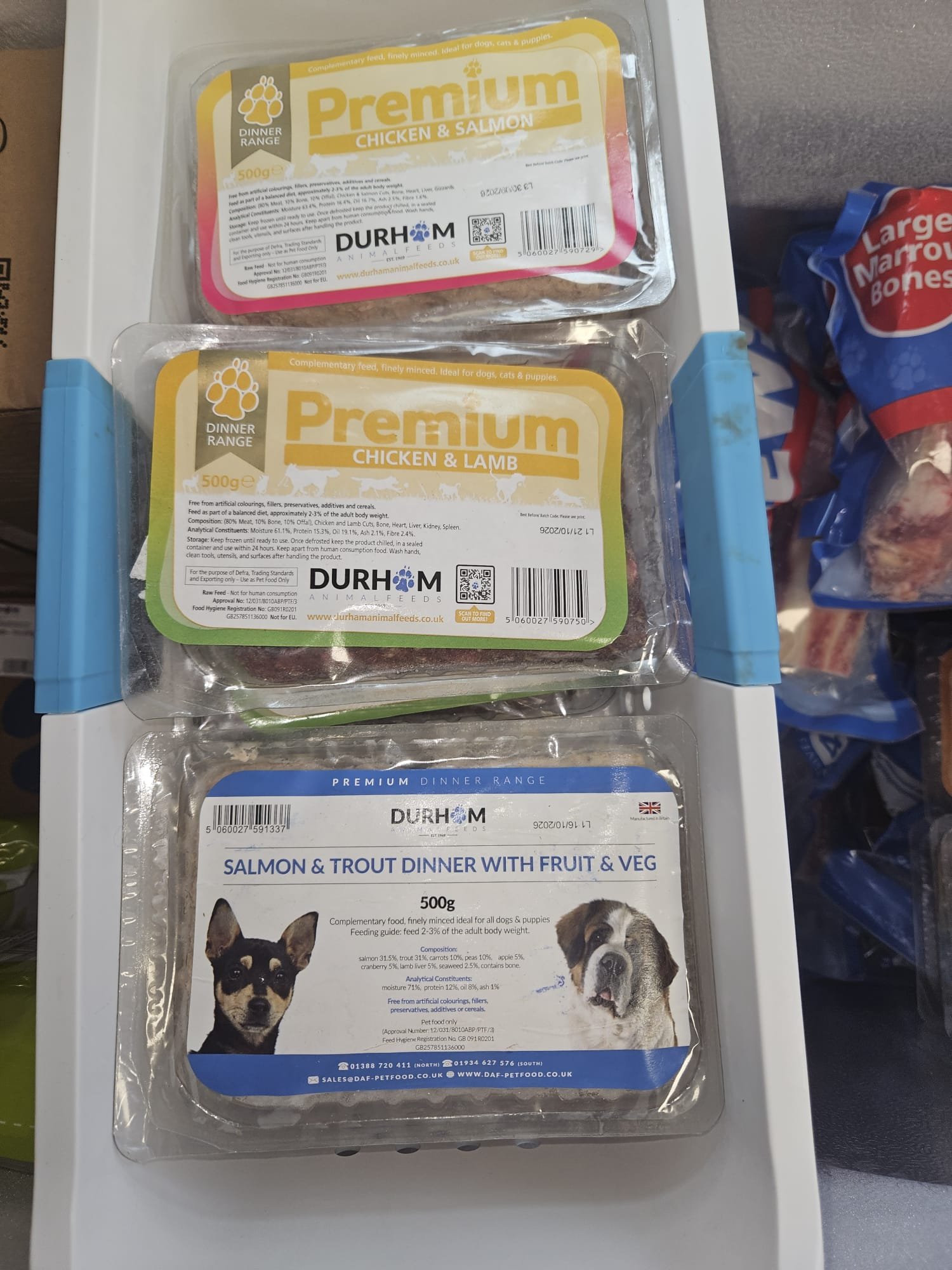 WhatsApp Image 2026-02-02 at 1.27.45 PM (1)