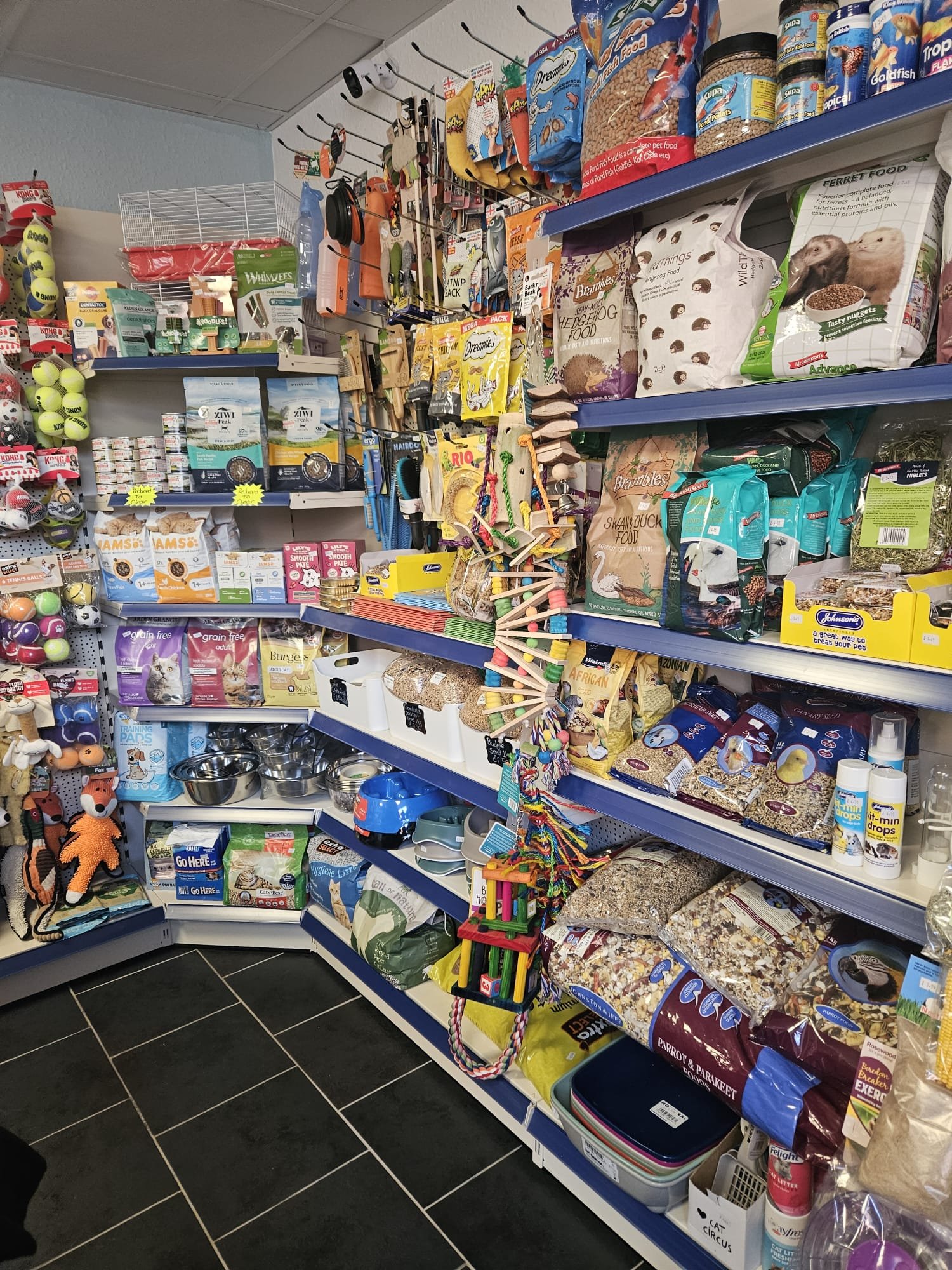 WhatsApp Image 2026-02-02 at 1.27.45 PM (2)