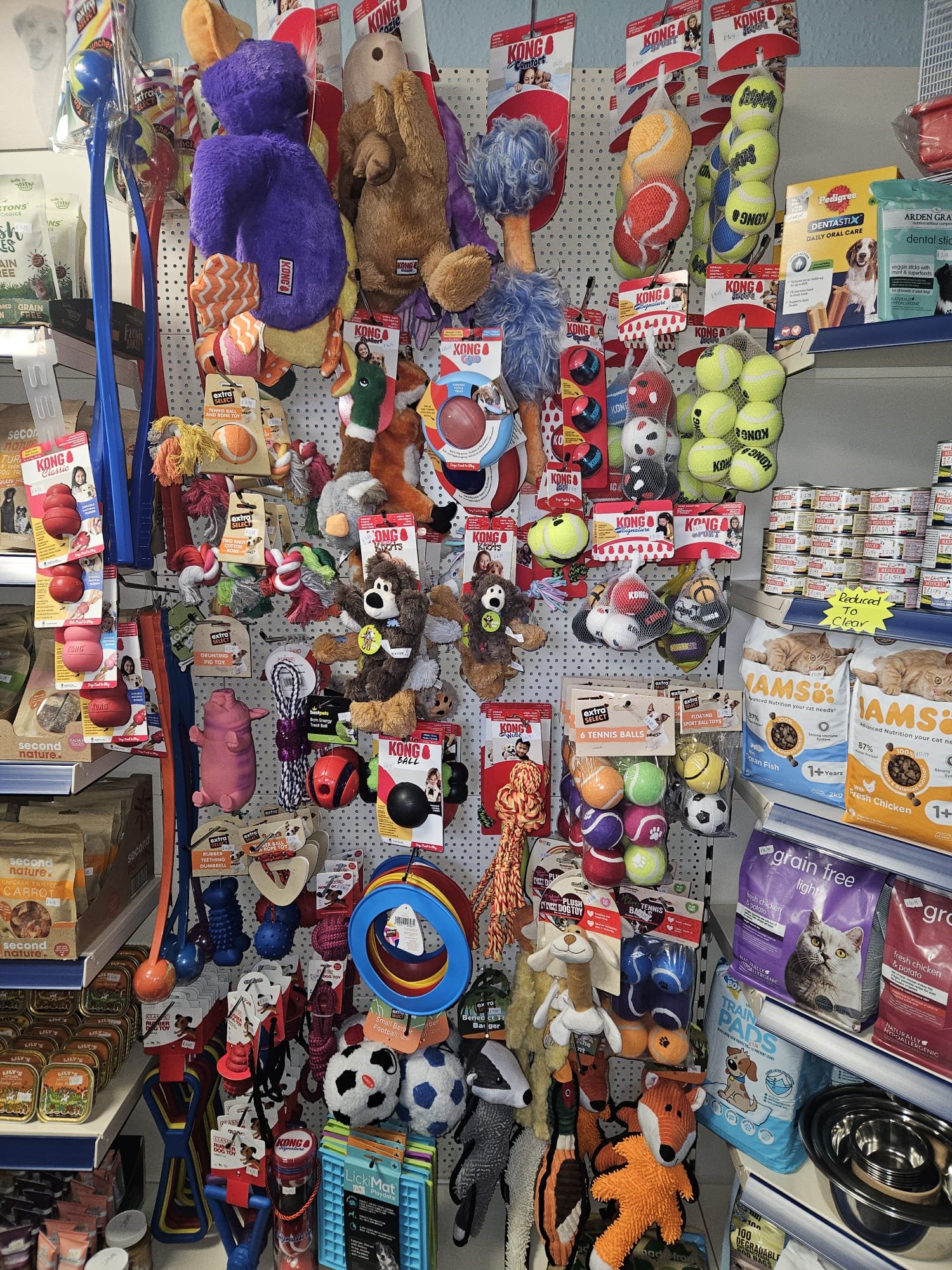 WhatsApp Image 2026-02-02 at 1.27.46 PM