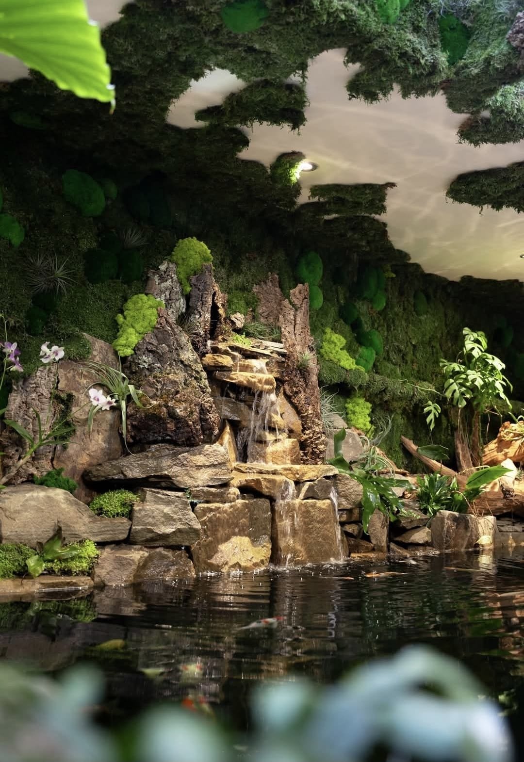 WhatsApp Image 2026-02-11 at 9.37.57 AM (1)