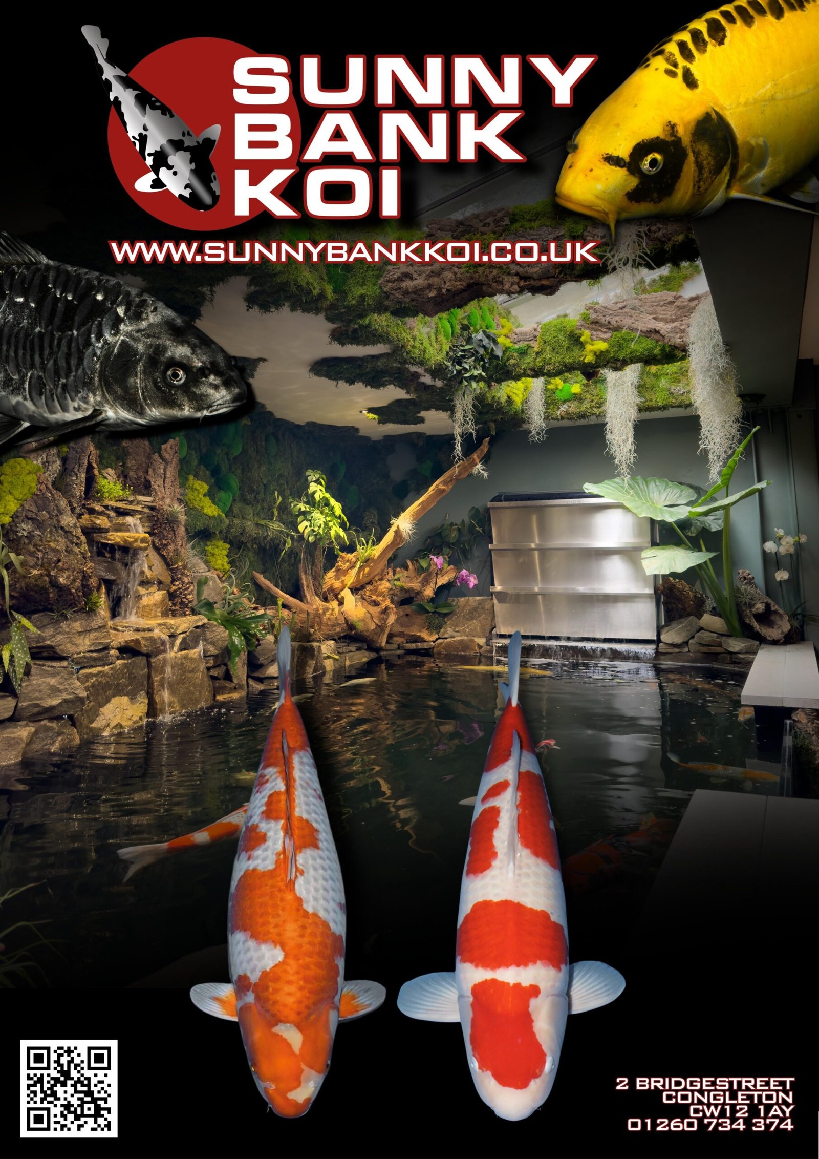 WhatsApp Image 2026-02-11 at 9.37.57 AM (3)