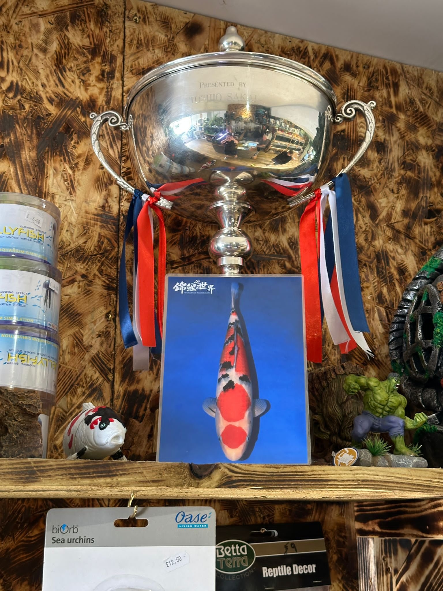 WhatsApp Image 2026-02-11 at 9.37.57 AM (4)