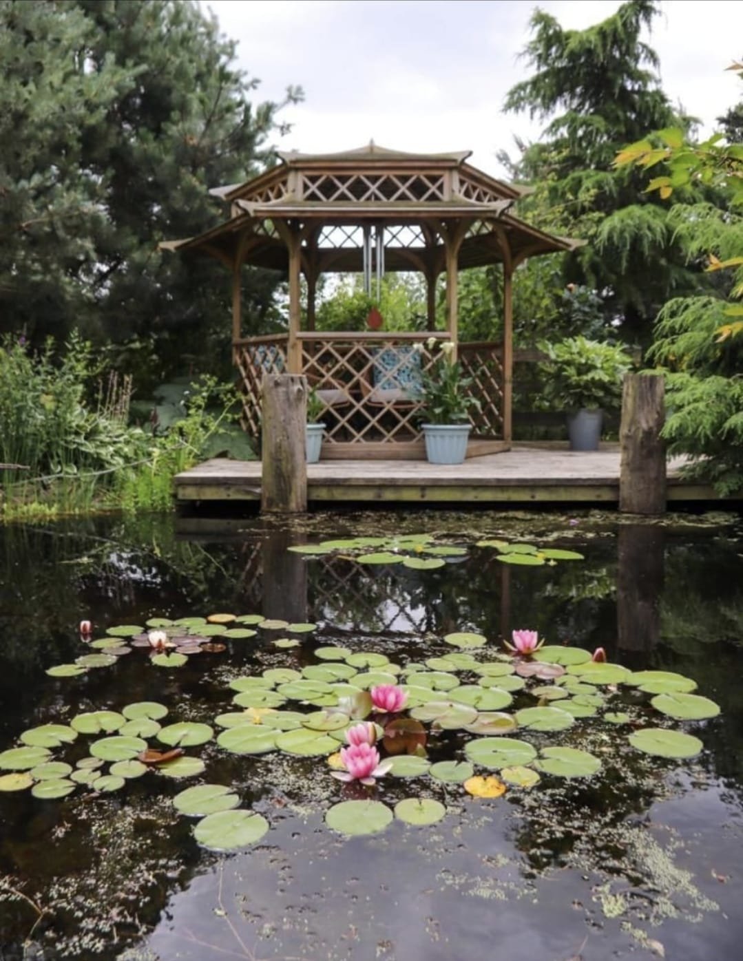 WhatsApp Image 2026-02-11 at 9.37.58 AM